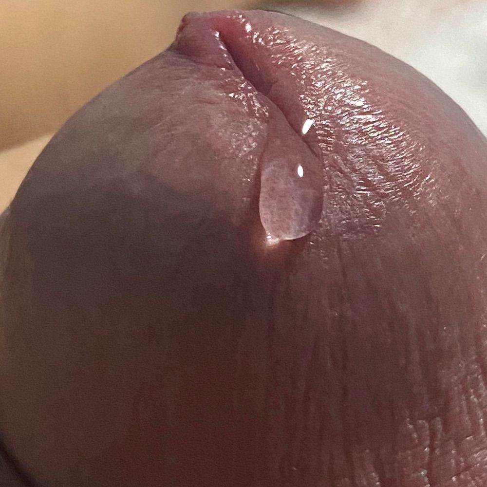 yeloy_