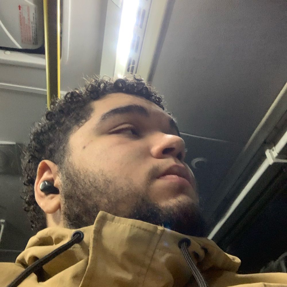 Peda 🦍