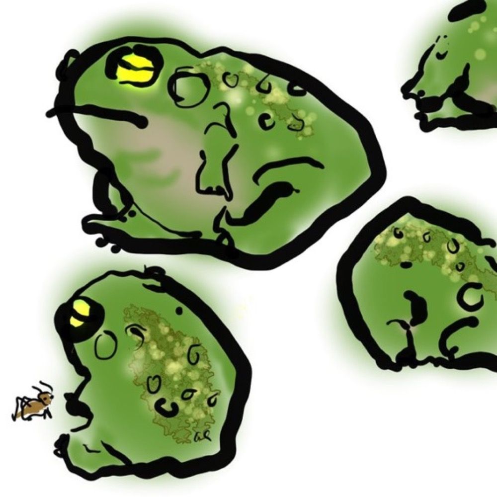 Nev