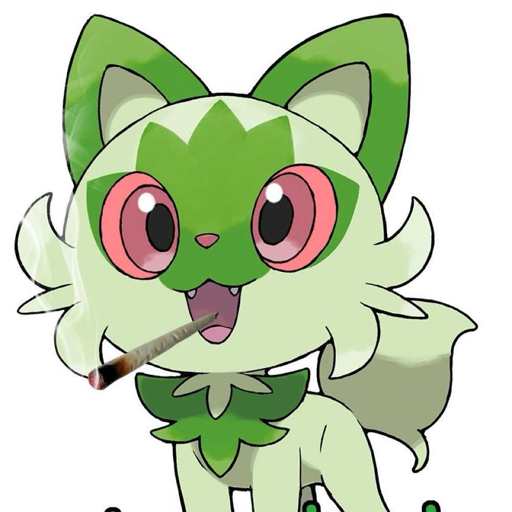 Brisola