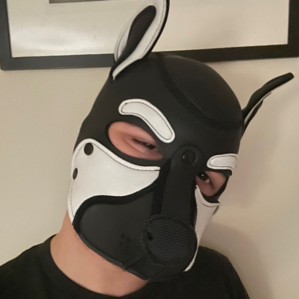 ArkPup