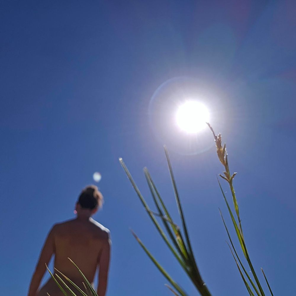 Sunny Naturer 