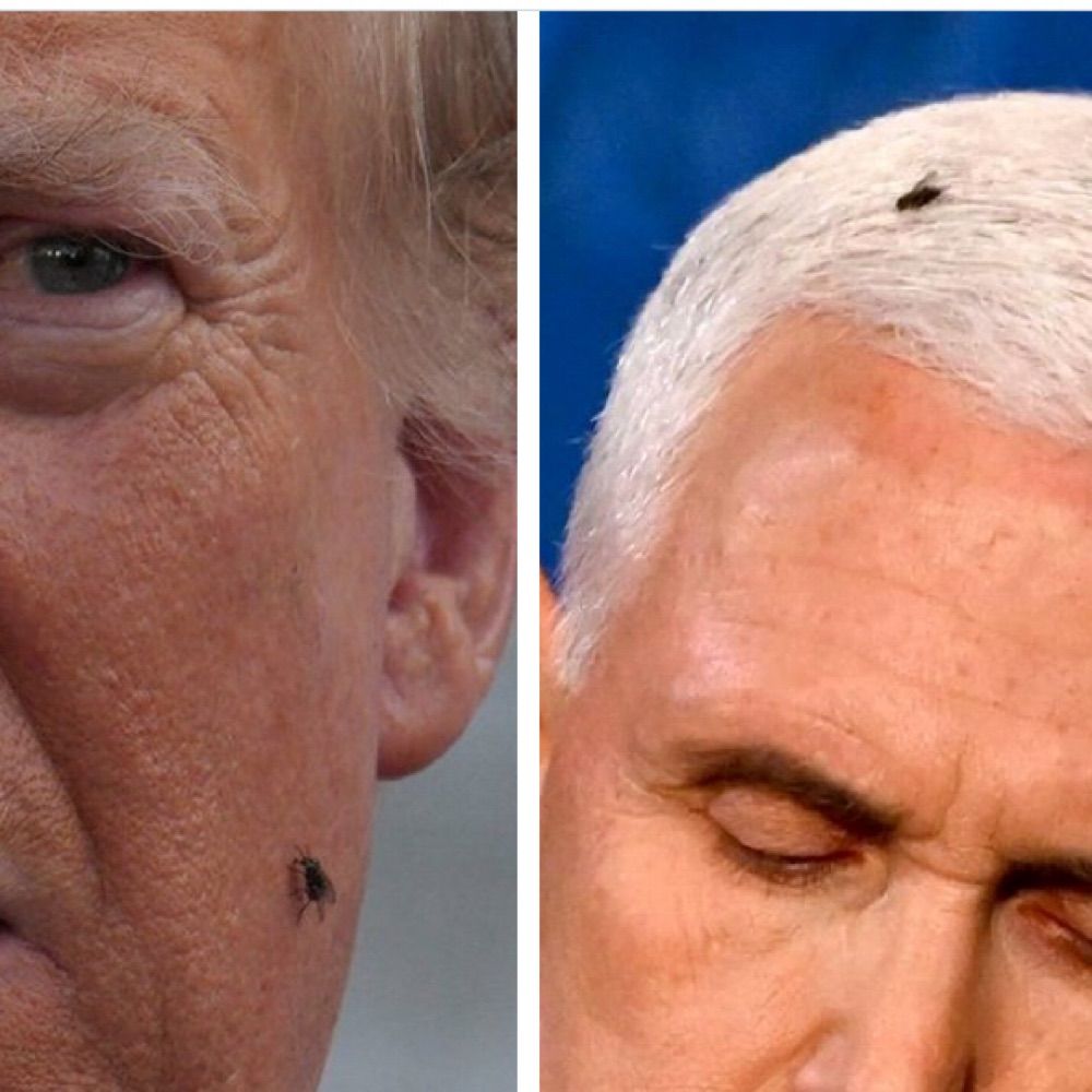 Pretty Fly On Two White Guys