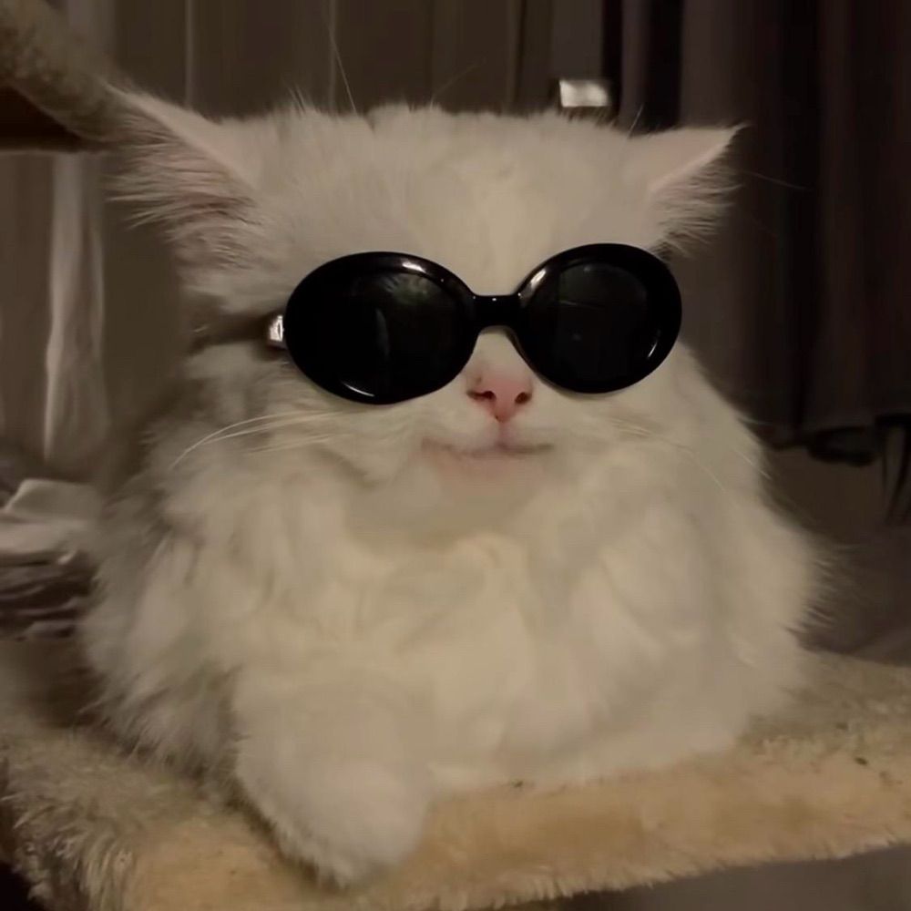 라신🎸