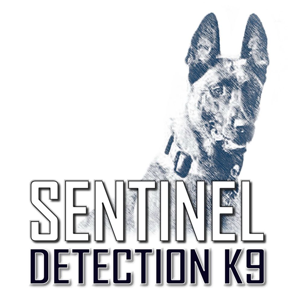 Sentinel Detection K9