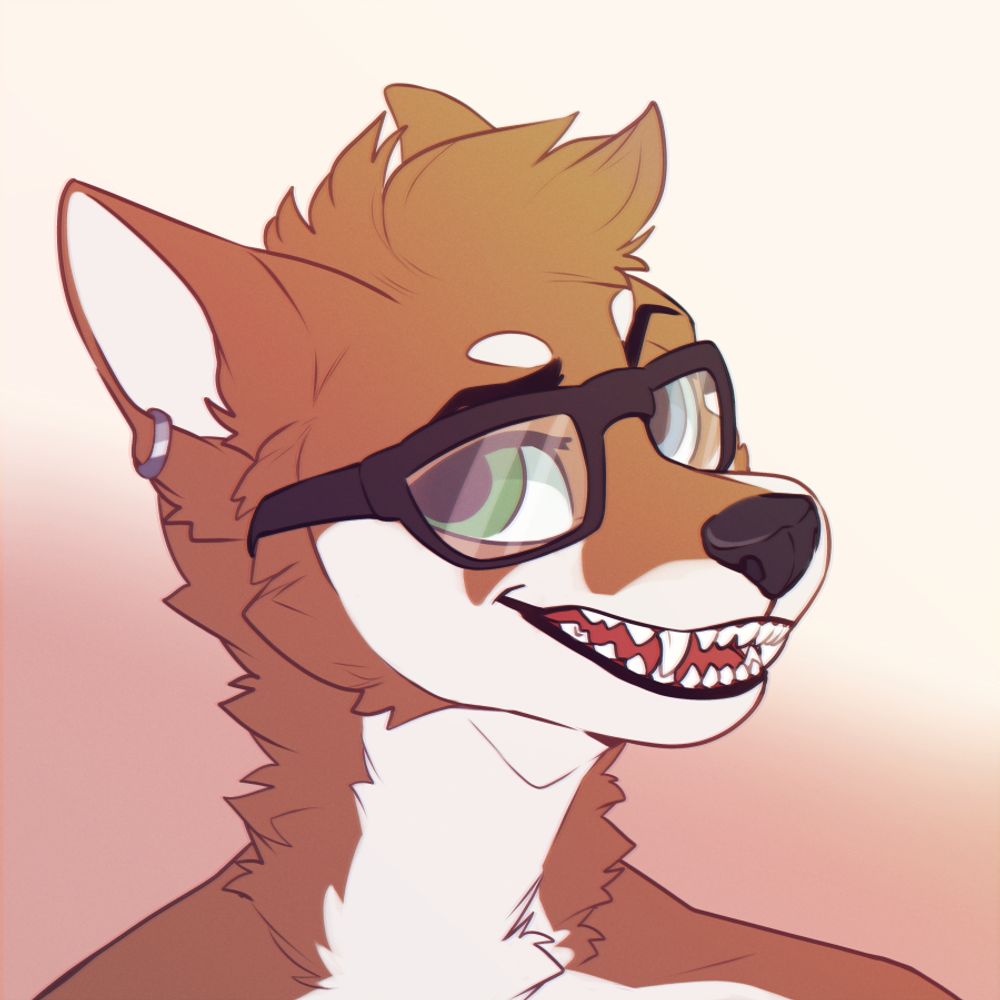 Mr. Doge