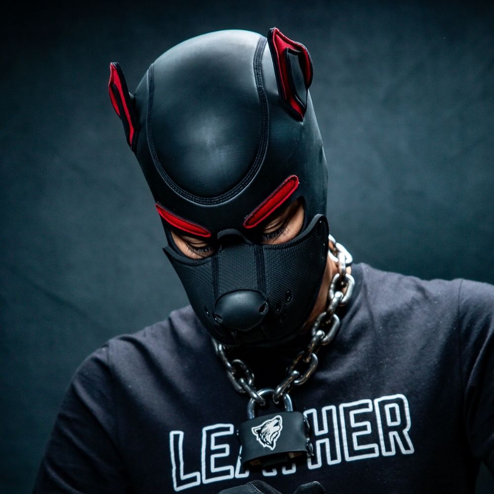StormWolf |⚡️🐺 🔜Brussels Pride