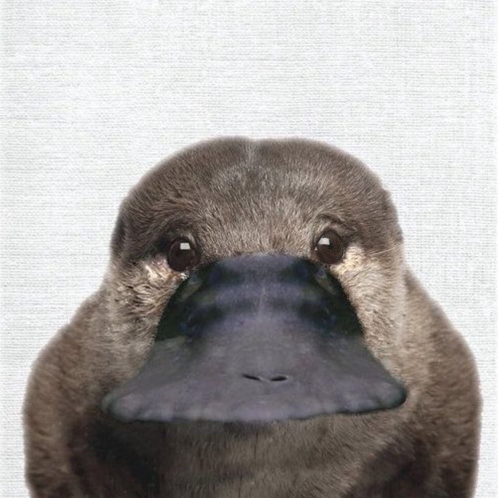 どよん