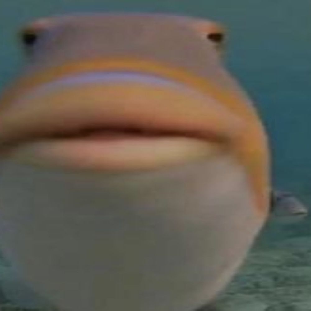 reu