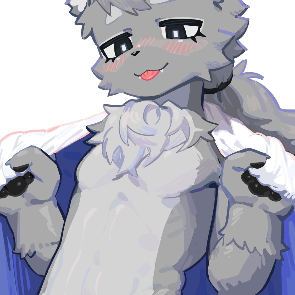 김사과
