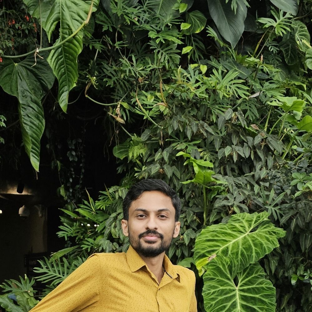 Sreejith Reghunathan pillai