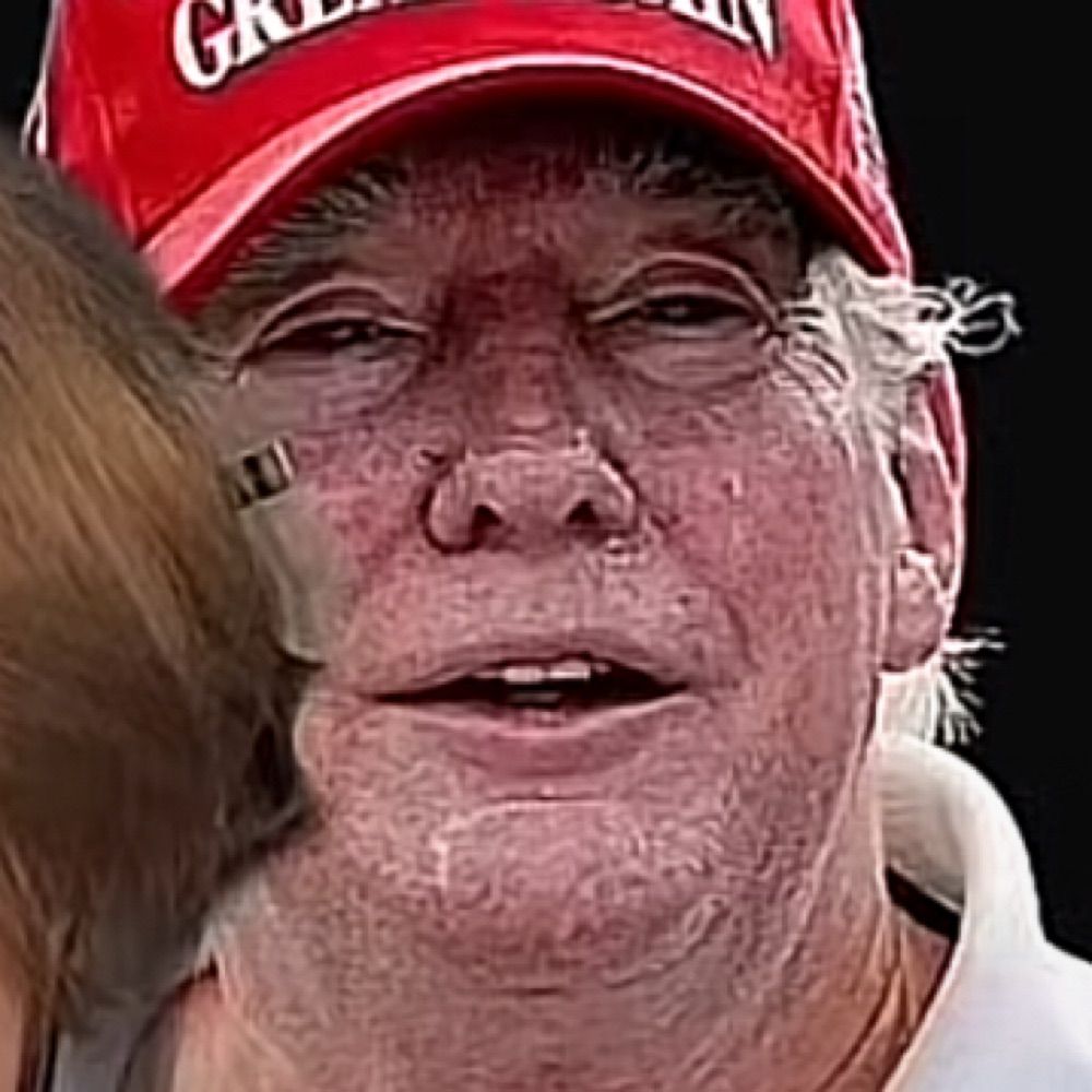 Donald Trump (Parody)