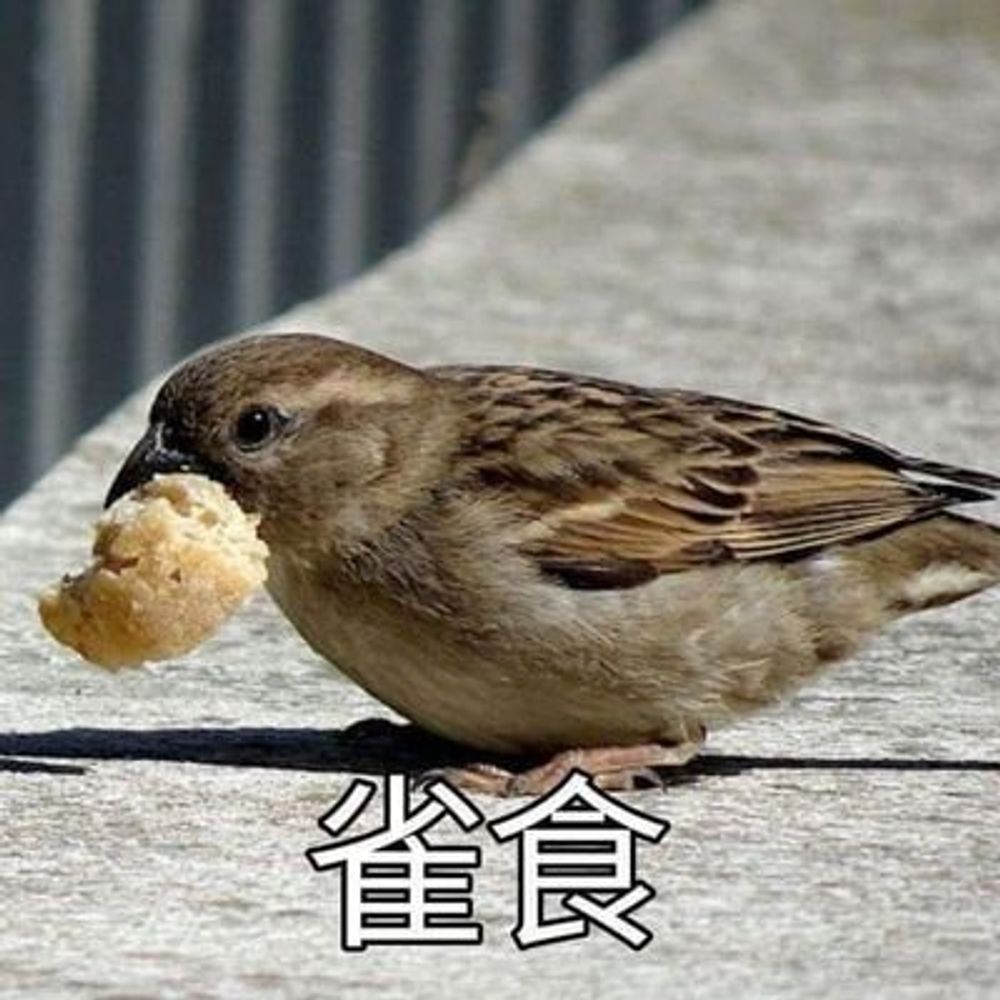 藥用植物