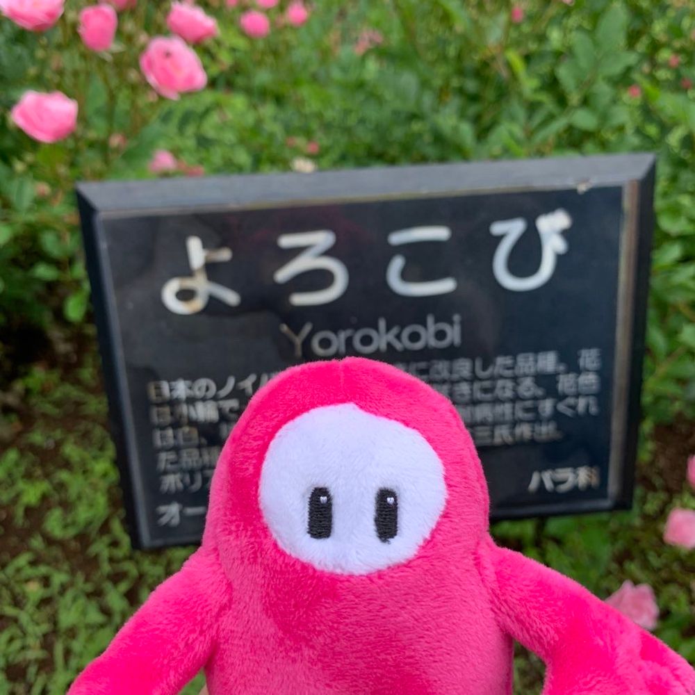 ピヨちゃん