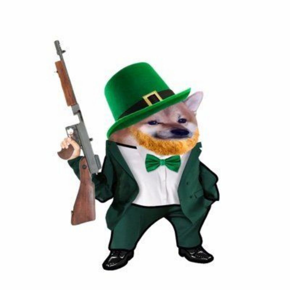 Leprechaun 🇮🇪🇭🇺🏴‍☠️🇪🇺🌻