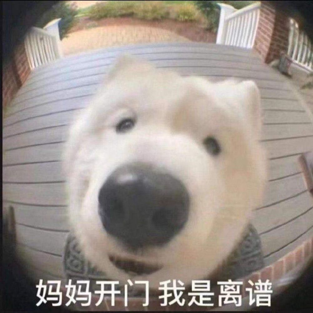 duck不必
