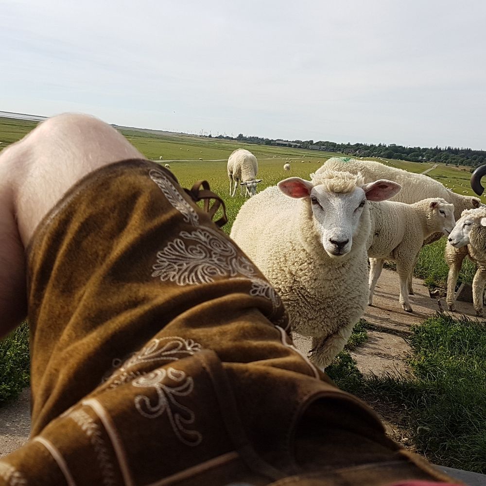 Lederhosenbazi