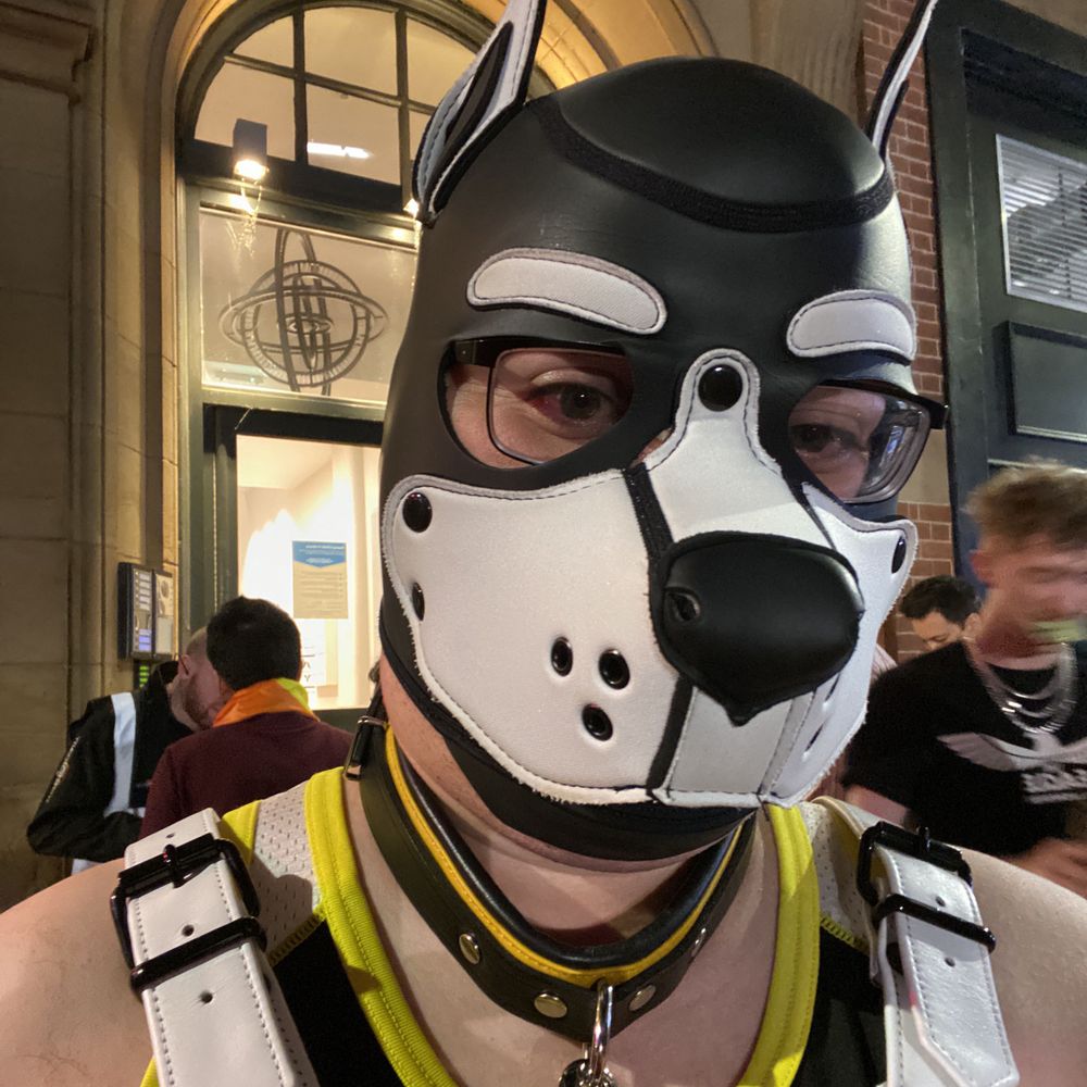 Pup Benji