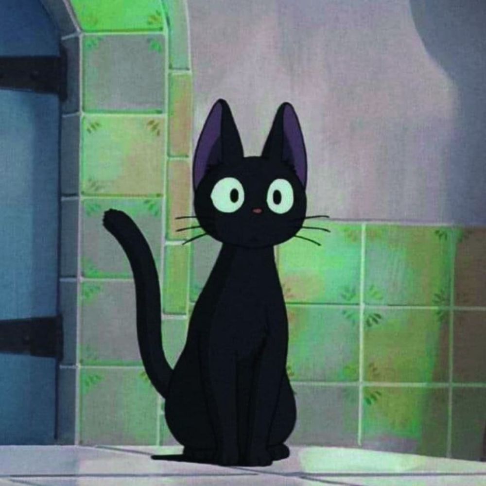 ..pov..miau.. 