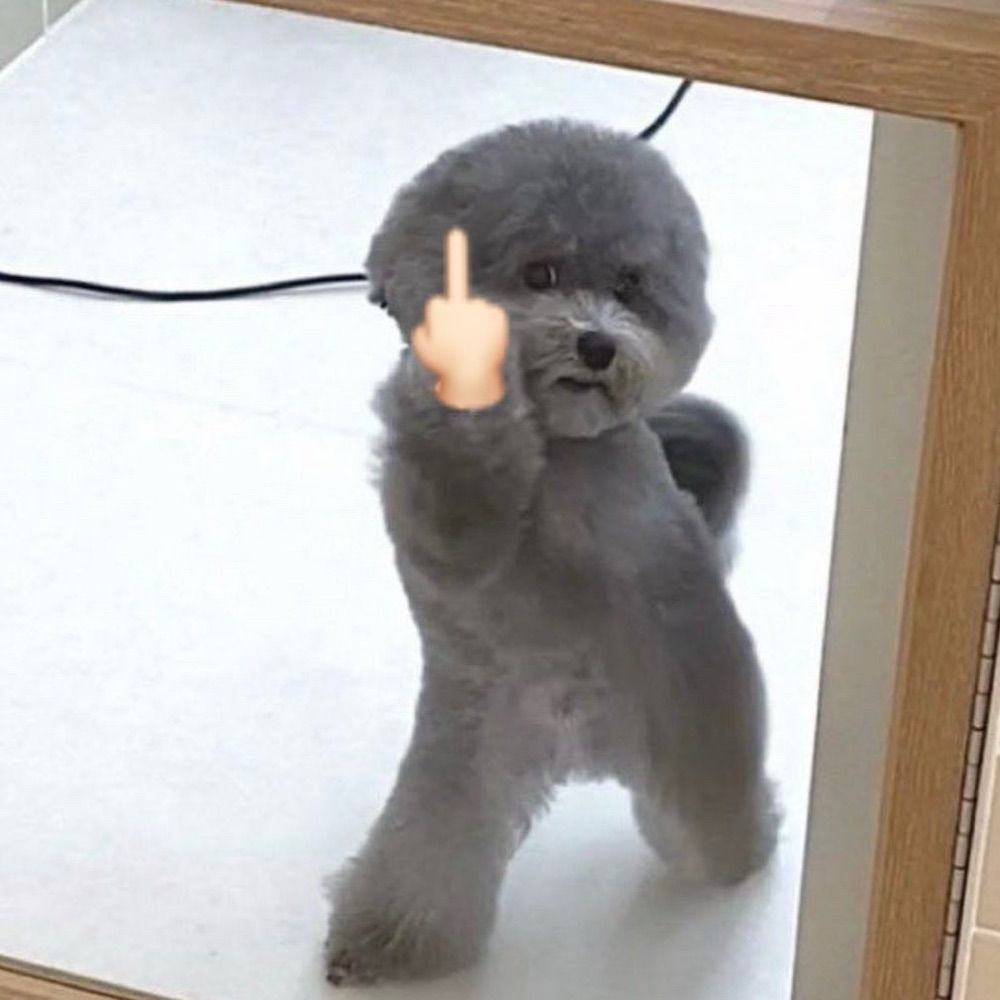 RoRo