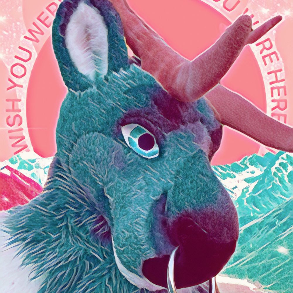 LucasElk