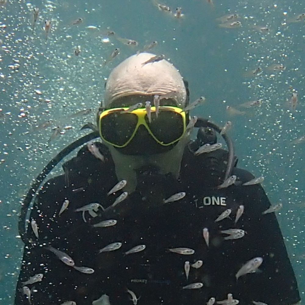 Petter Ruud