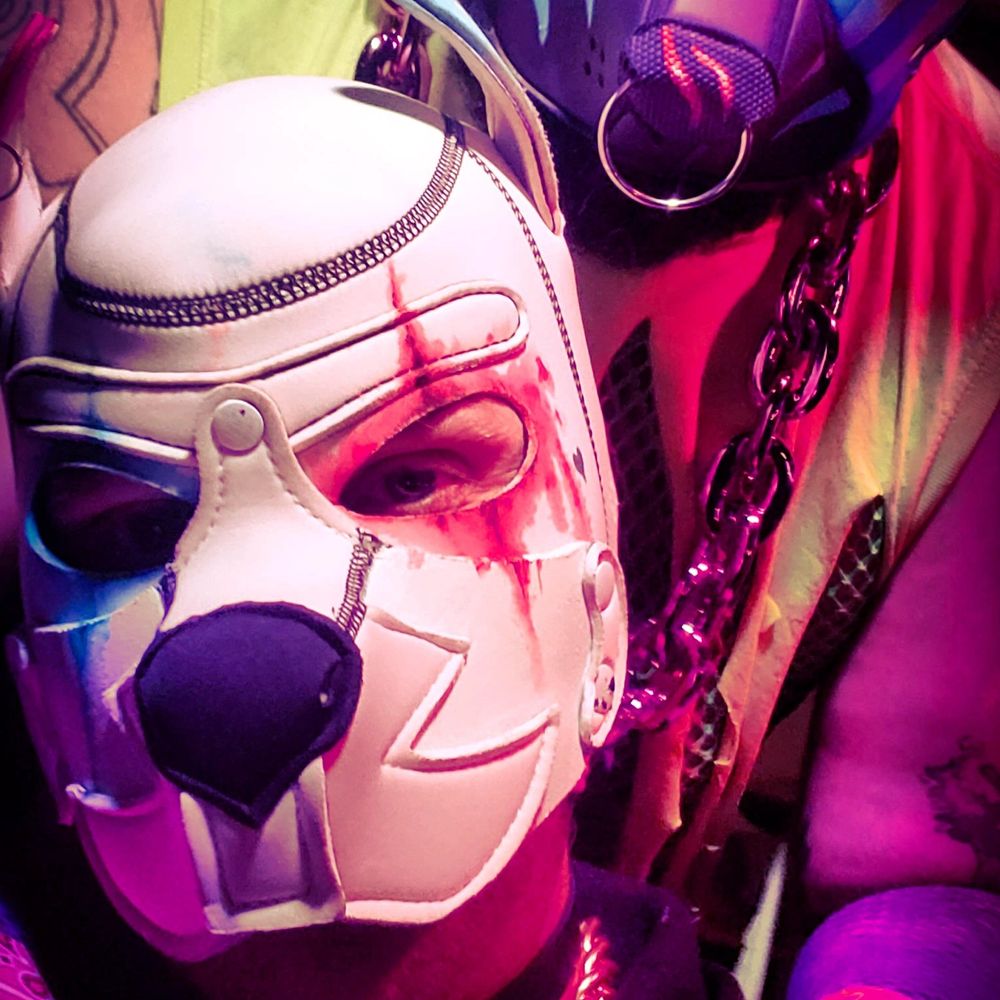 Sub pup harley 