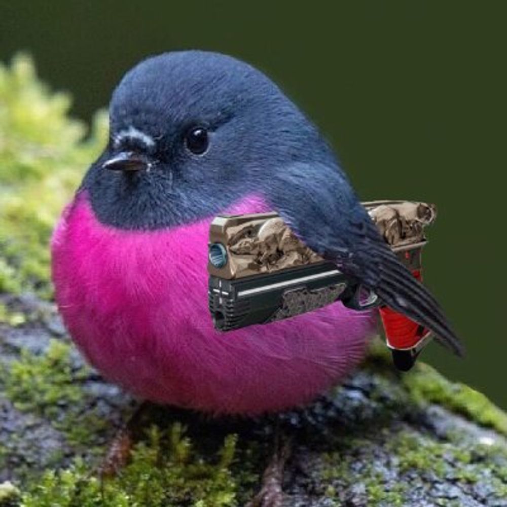 destinyborbs.bsky.social profile picture