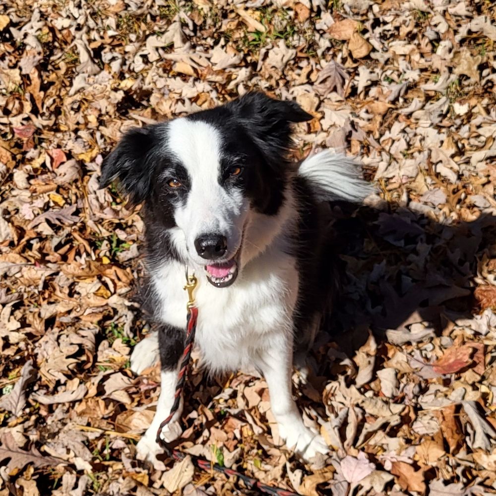 cathivner.bsky.social