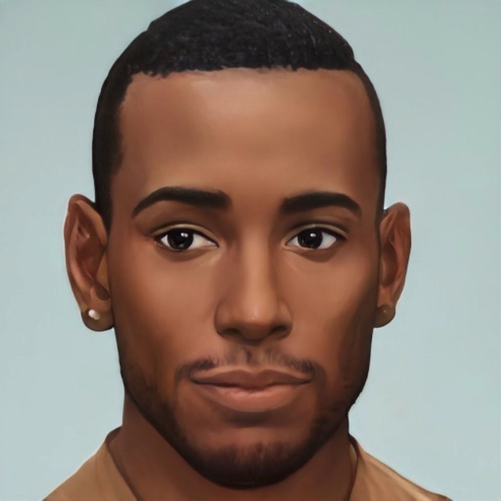 TheLastAirSimmer