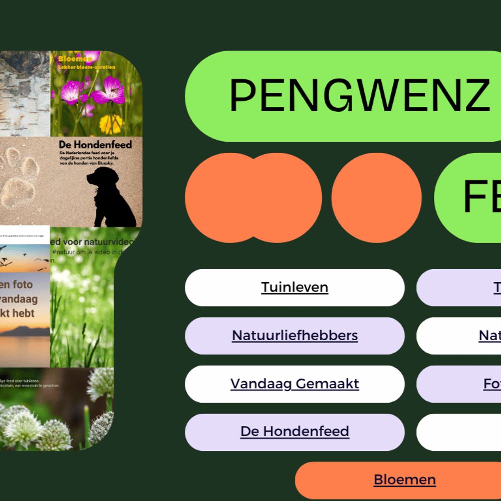 pengwenz feeds