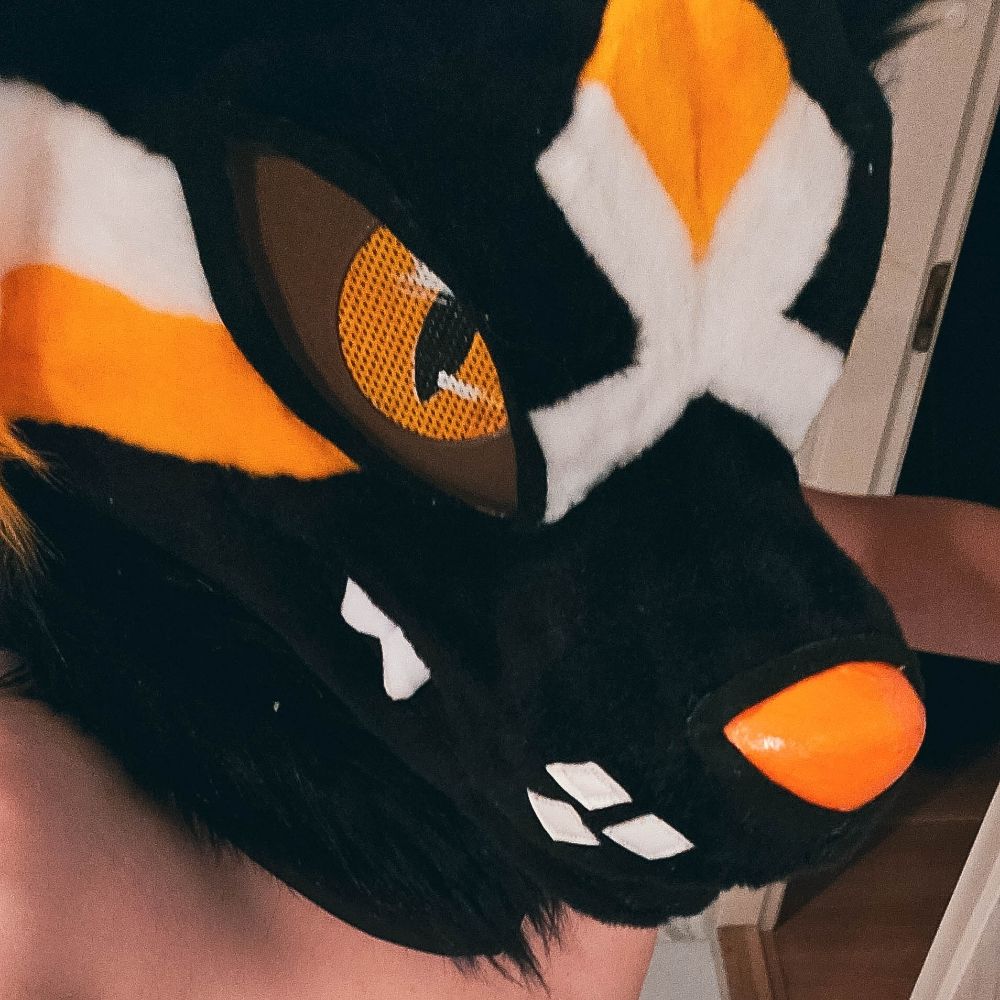 Lendav AD 🇪🇪🇳🇱🏳️‍🌈🔜Confuzzled
