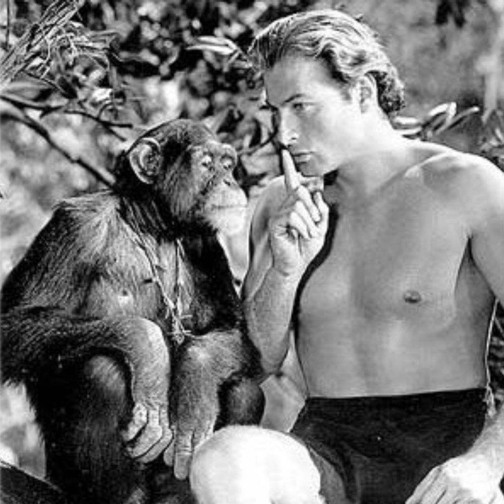 Profile picture raoul-tarzan.bsky.social