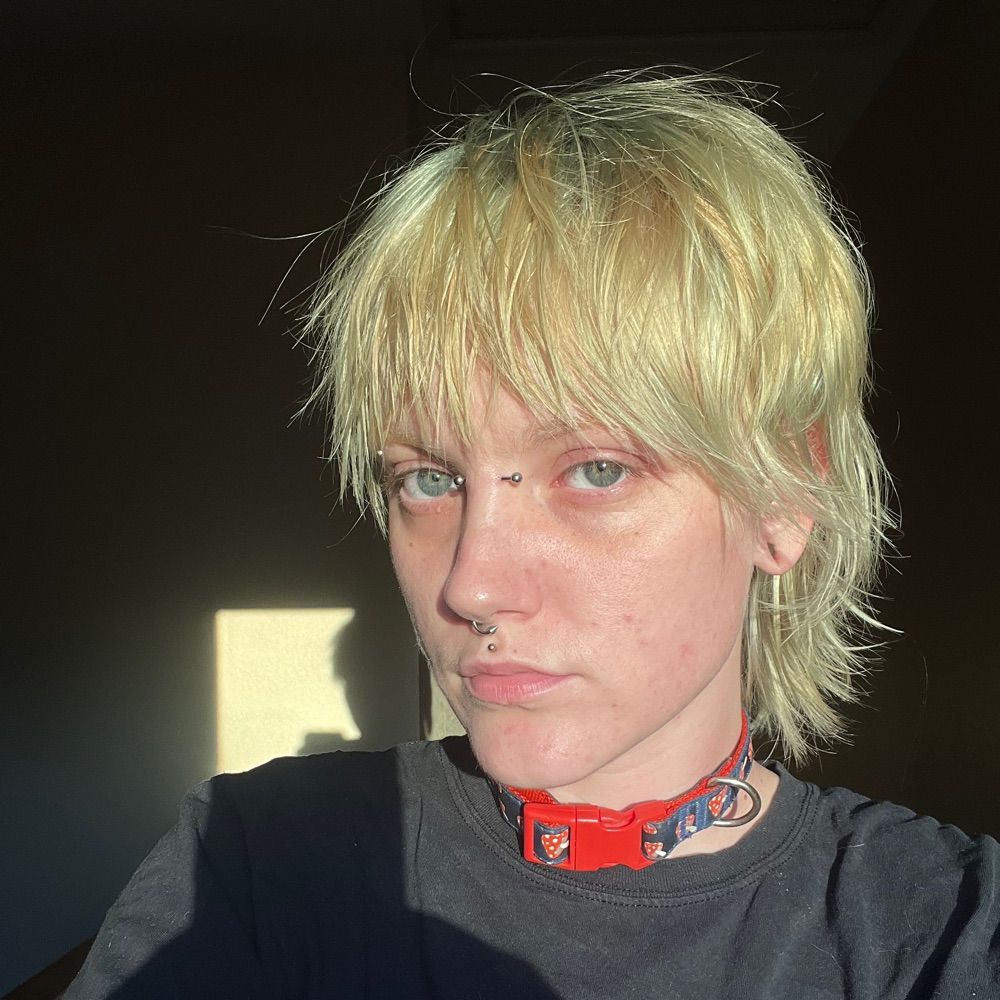 🐾Ro🐾 they/he