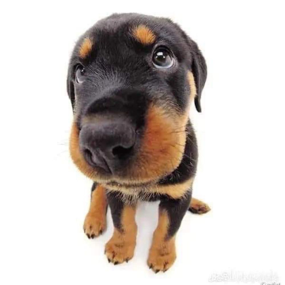 😝