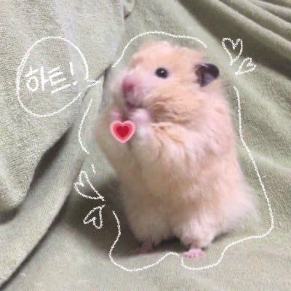 물오름