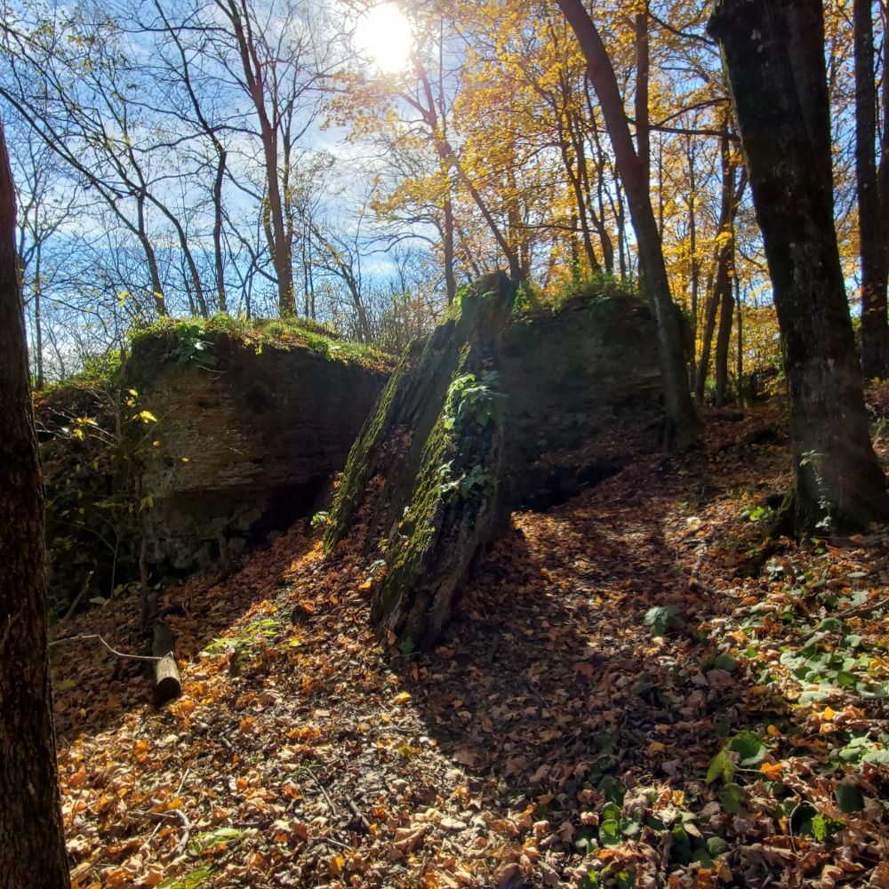 Driftless