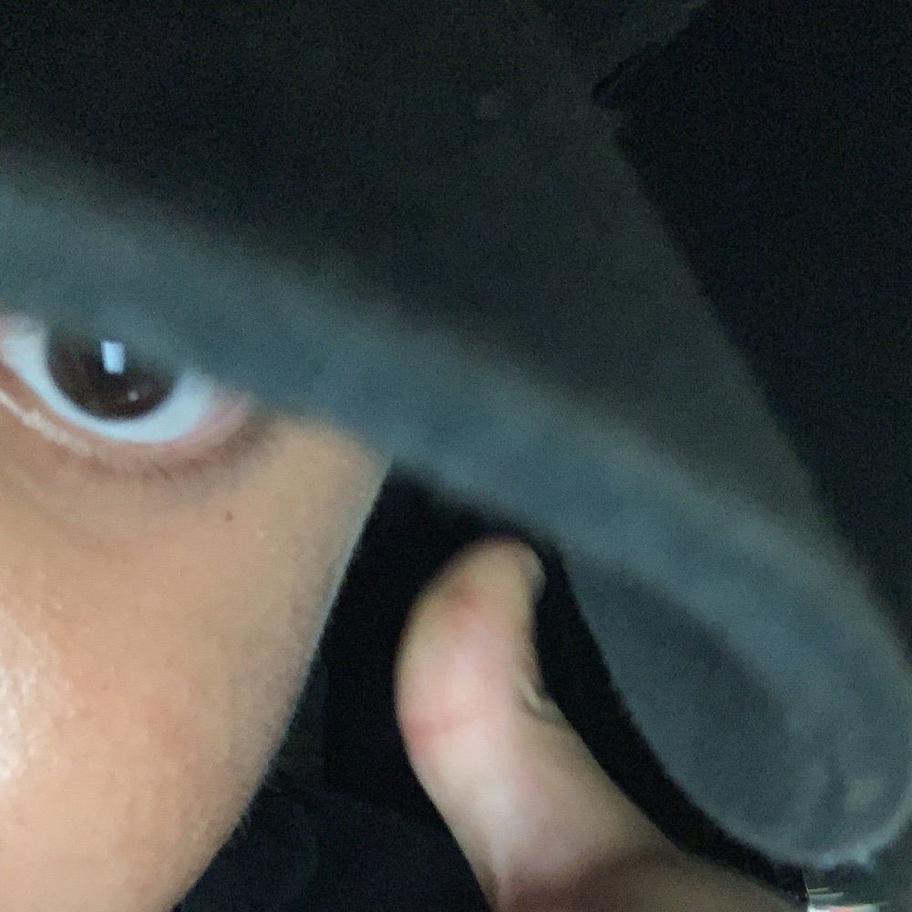 viniiccaula_