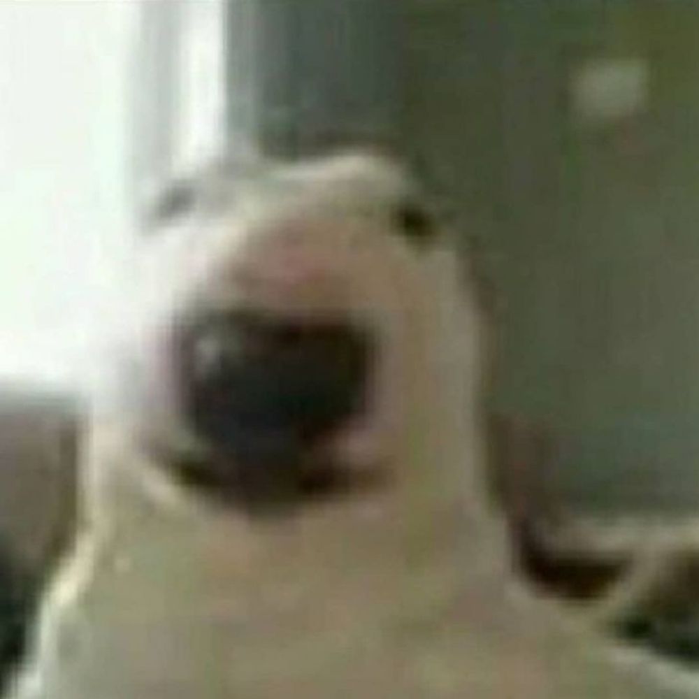 polascka