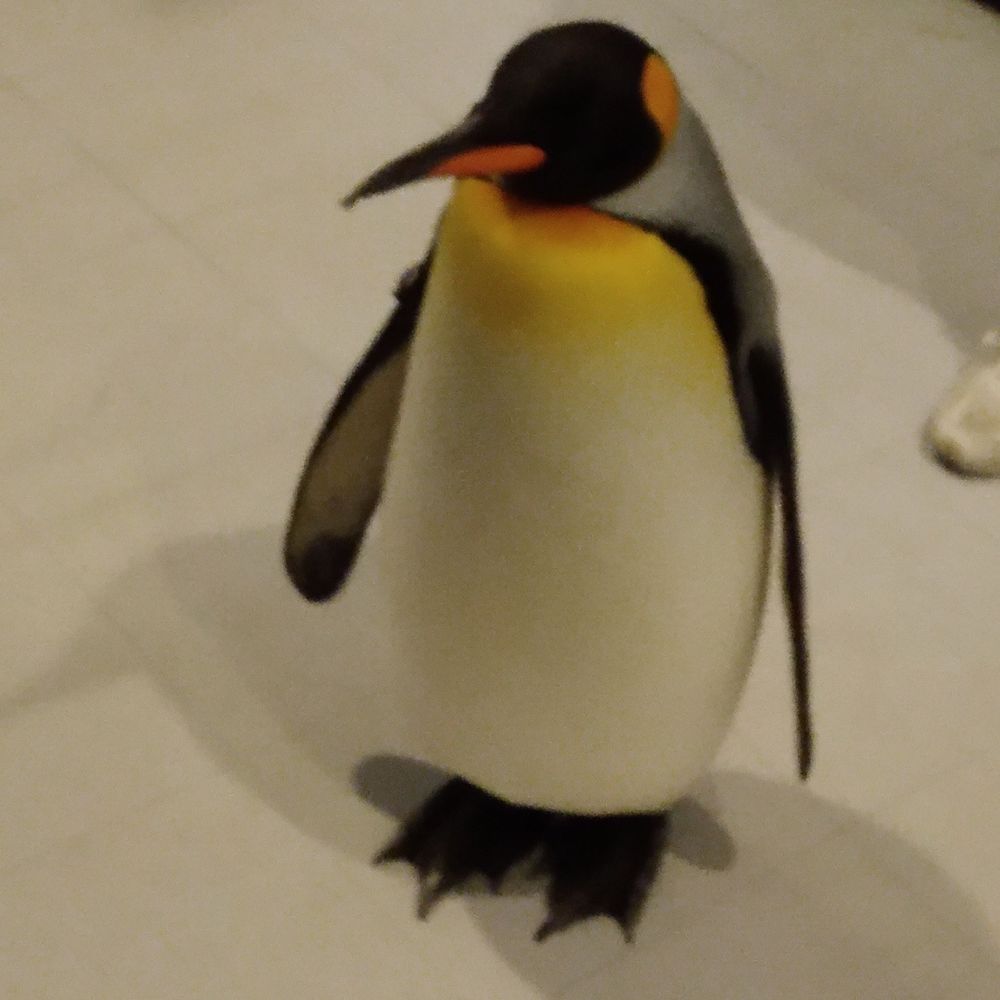 きたで