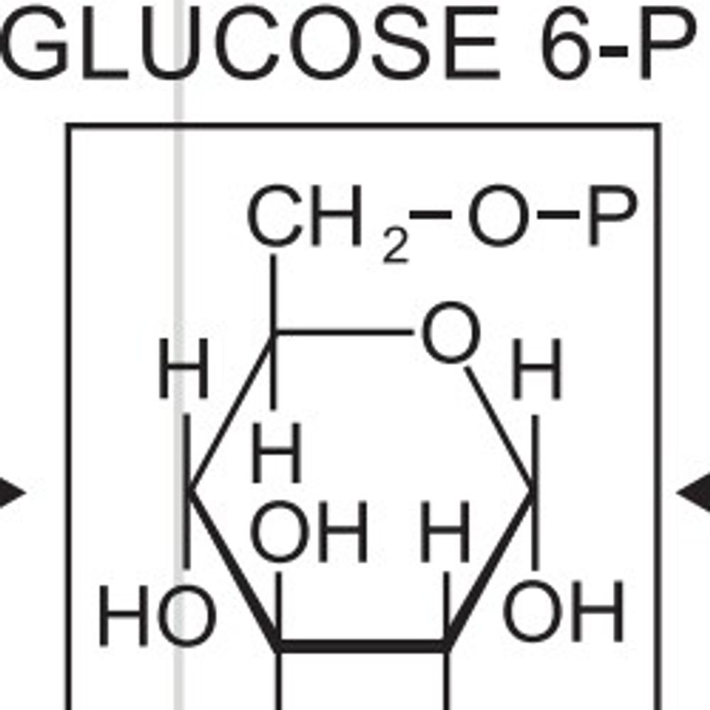 Glucose6phosphate