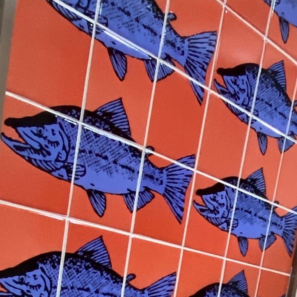 🐟two
