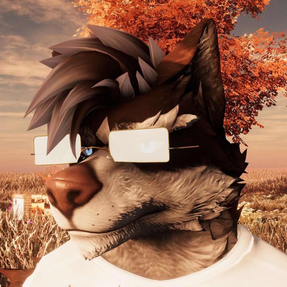 Mocha Husky
