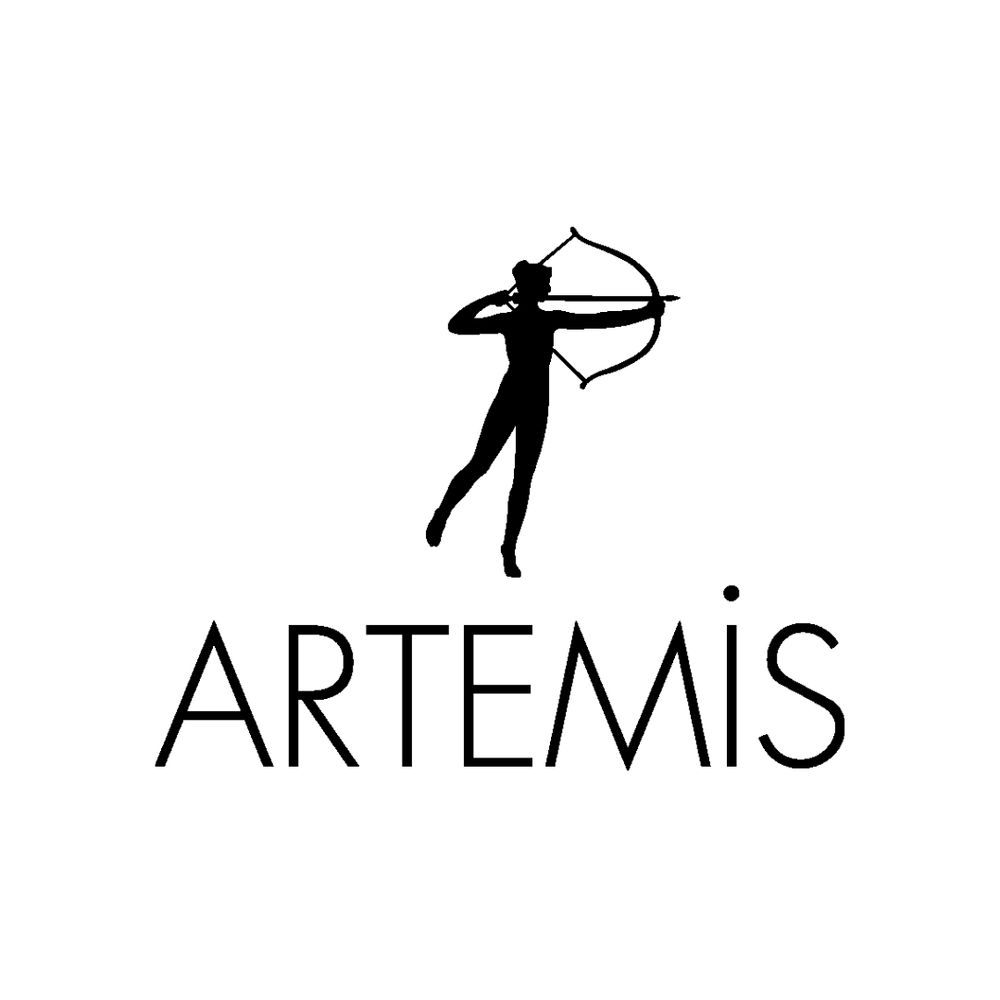Artemis Yayınları
