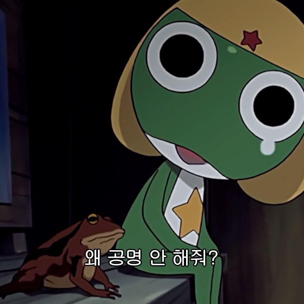 달돕🌕
