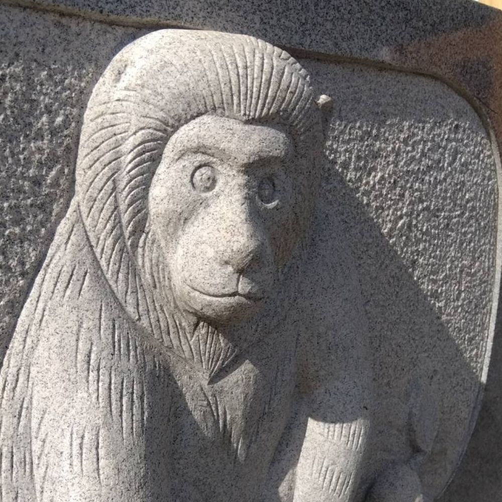 さる