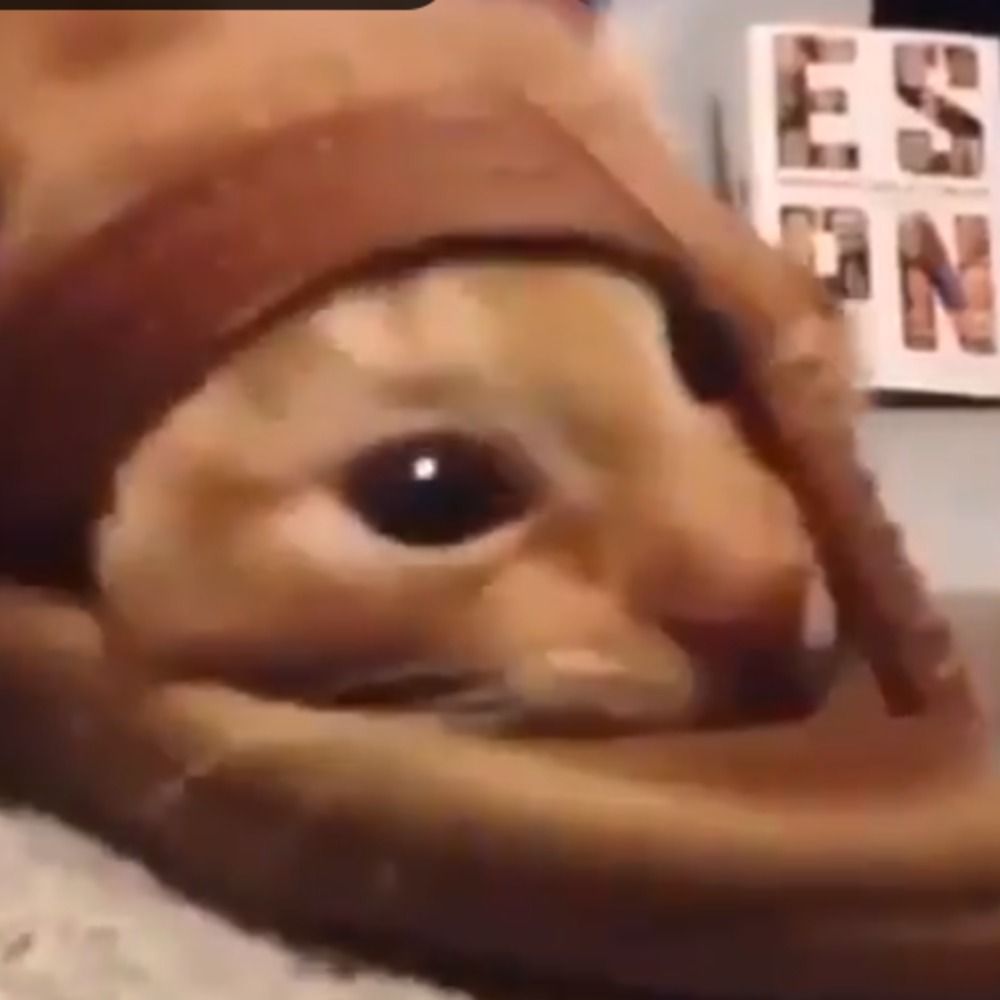 RyanAqueleMesmo