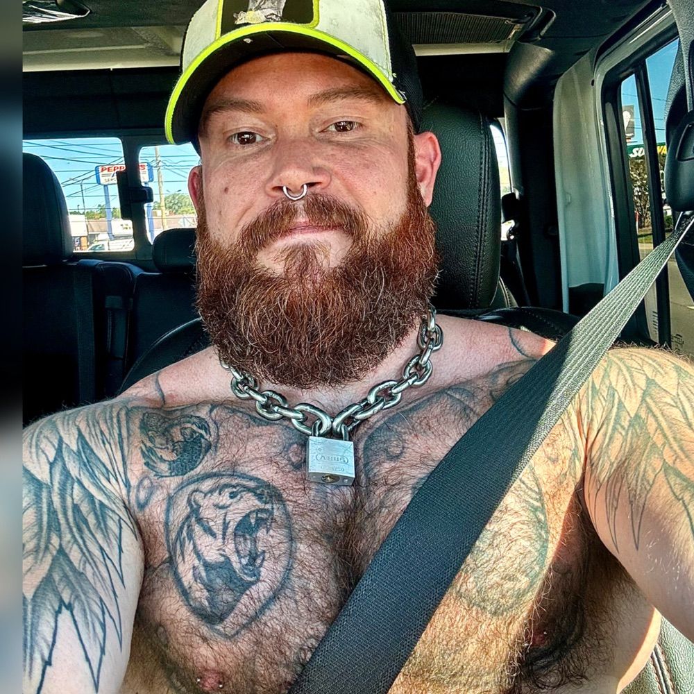 GingerBeardFox