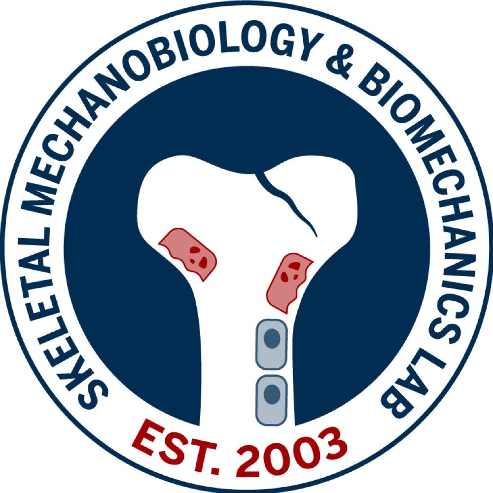 Skeletal Mechanobiology & Biomechanics Lab