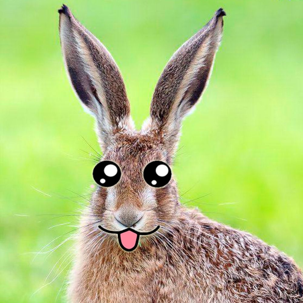 DexTheHare